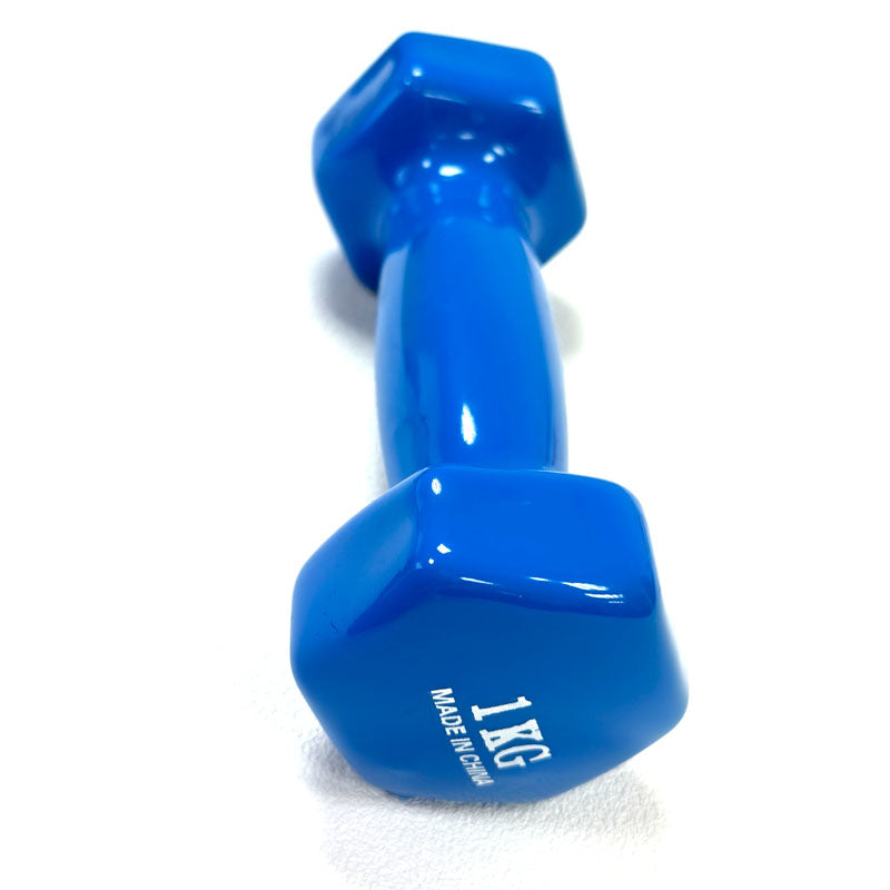 1 Piece Vinyl Fitness Dumbbell for Fitness Boxing Home Gym 1kg