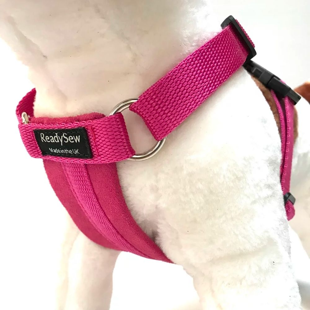 Standard Dog Harness Sizes S M L