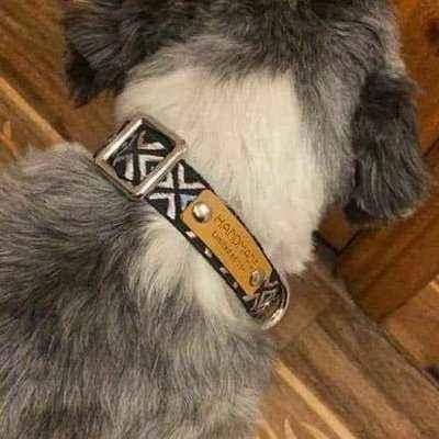 Finnigan’s Designer Dog Collar No. 01m Sizes S M L