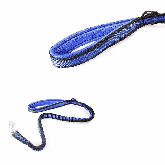 Pet Dog Stretchy Leash Lead Anti Dash Pull Dog Lead Leash - Random Colour