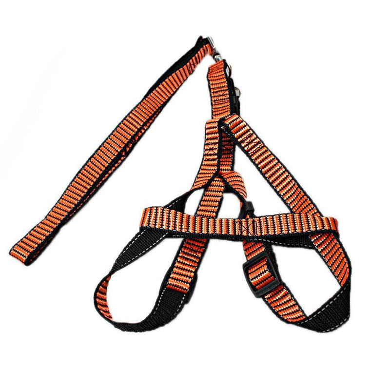 Pet Dog Leash with Harkness - Random Colour