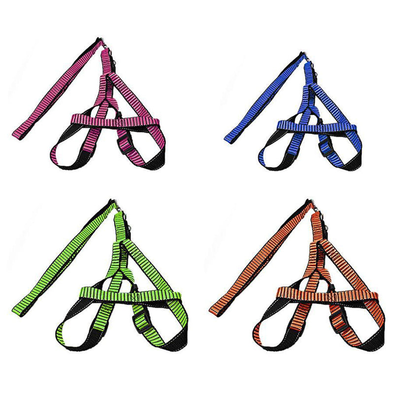 Pet Dog Leash with Harkness - Random Colour