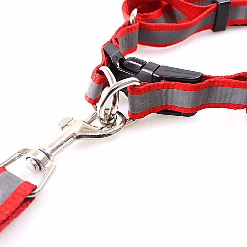 Nylon Bright Lightweight Reflective Dog Leash with Extra Strong Harness - Random Colour