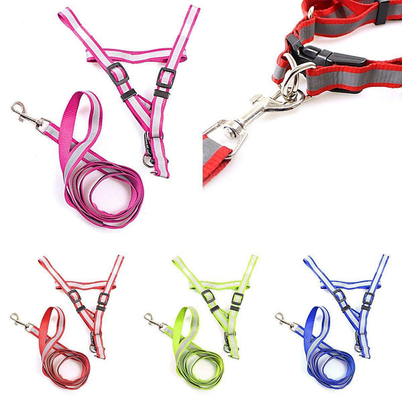 Nylon Bright Lightweight Reflective Dog Leash with Extra Strong Harness - Random Colour