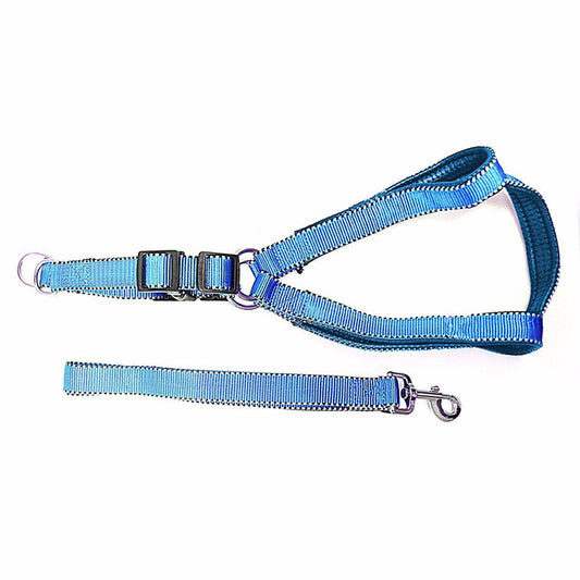 Lightweight Reflective Nylon Bright Dog Leash with Extra Strong Harness - Random Colour