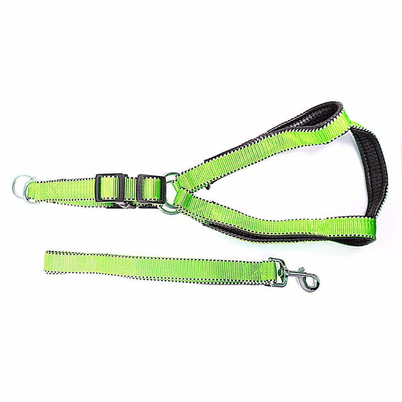 Lightweight Reflective Nylon Bright Dog Leash with Extra Strong Harness - Random Colour