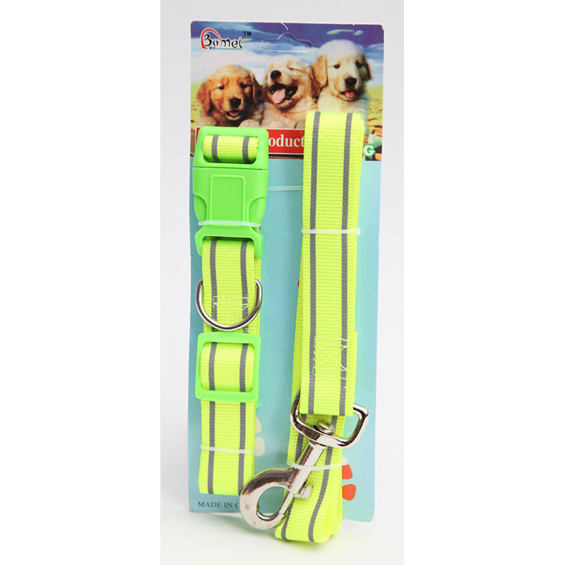 Pet Dog Lead Leash and Collar - Random Colour