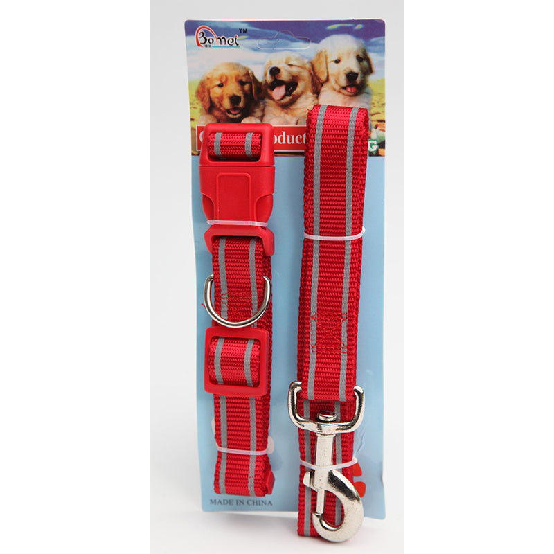 Pet Dog Lead Leash and Collar - Random Colour