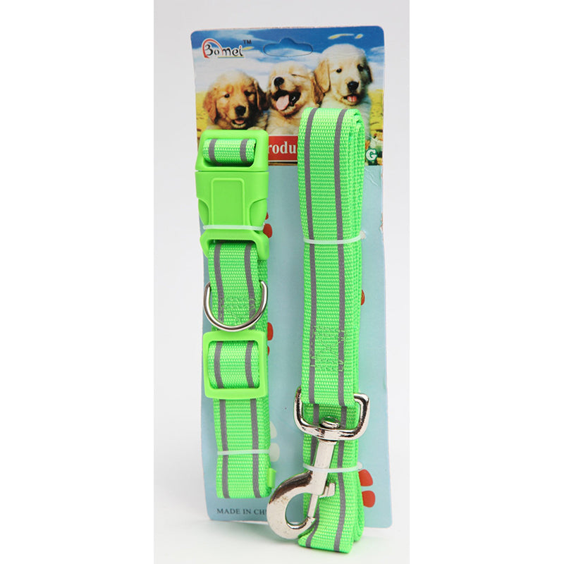 Pet Dog Lead Leash and Collar - Random Colour