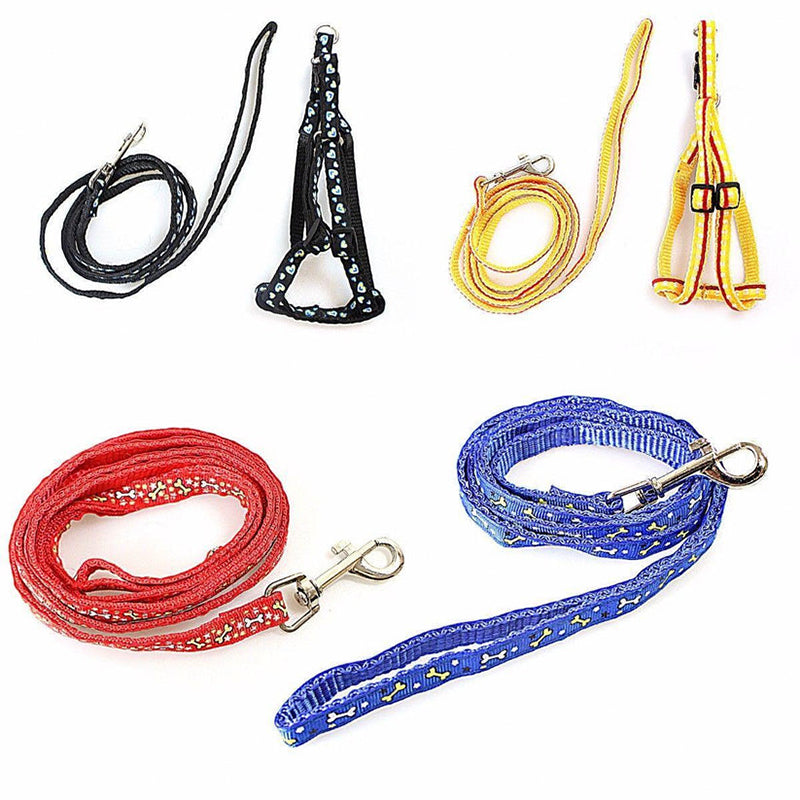 Dog Leash Lead with Harness Printed Designs Assorted Designs - Random Colour