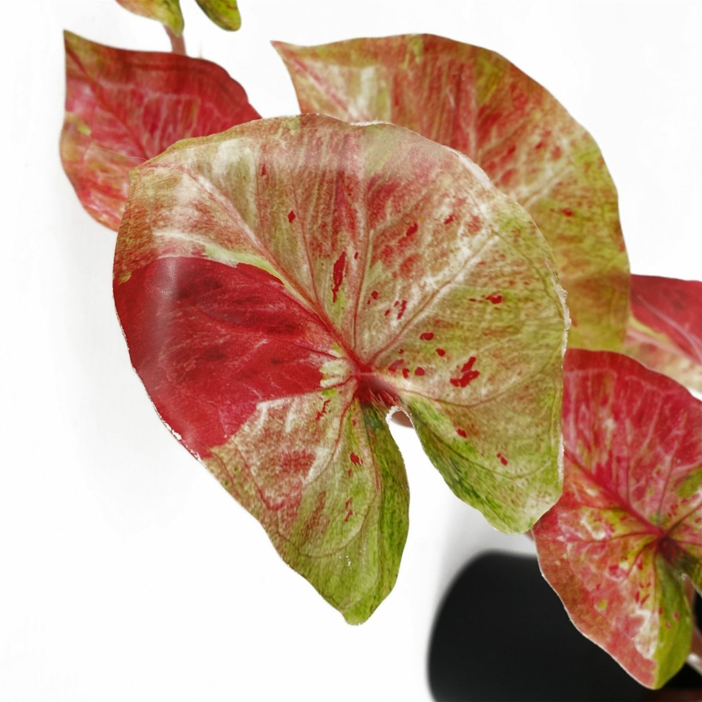 35cm Artificial Trailing Hanging Plant Realistic Pink Splash Caladium