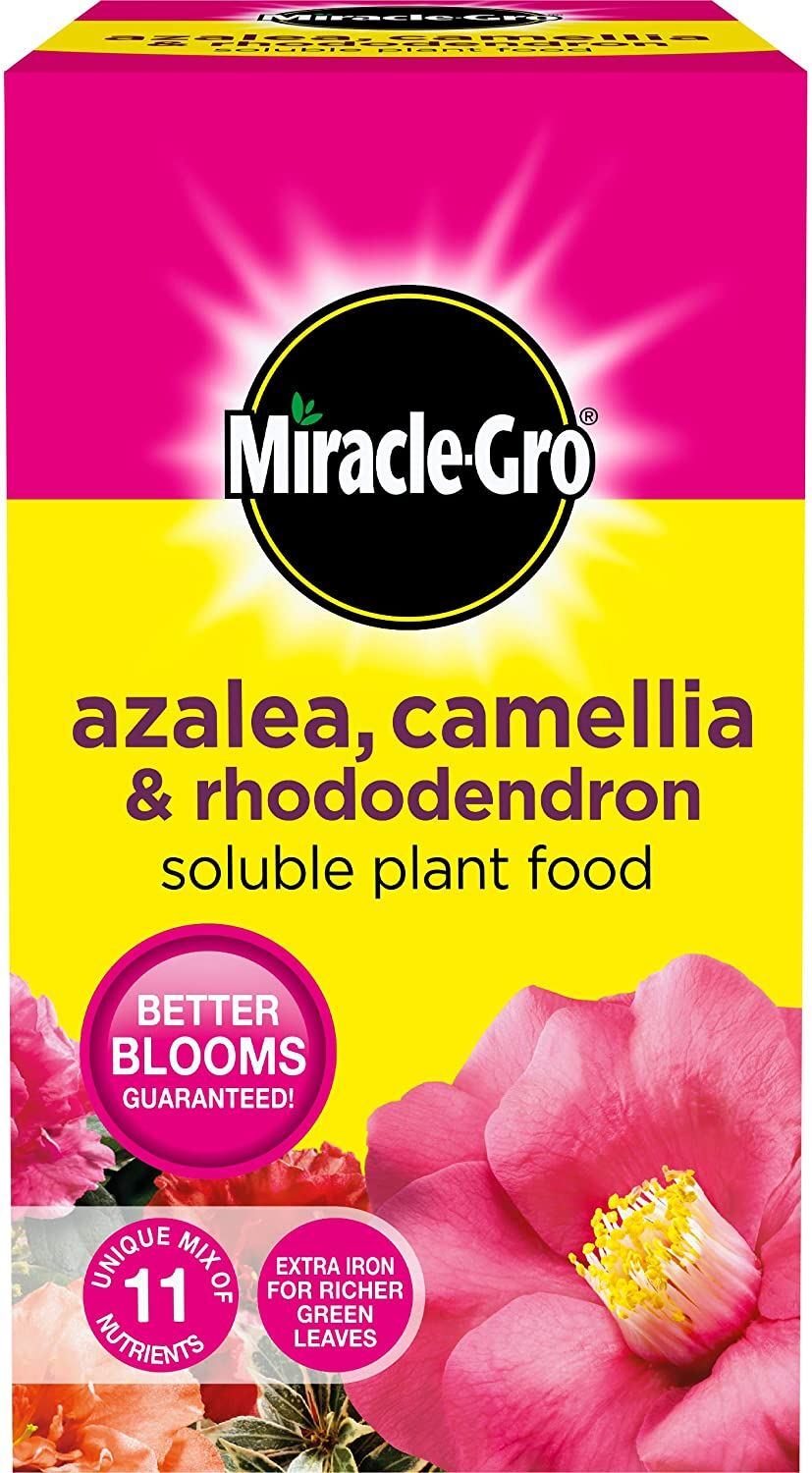 Miracle Gro Azalea, Camellia & Rhododendron Soluble Ericaceous Plant Food 1kg