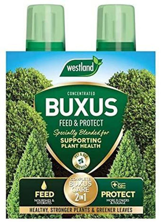 Westland Horticulture Buxus Feed & Protect Concentrates 2 in 1