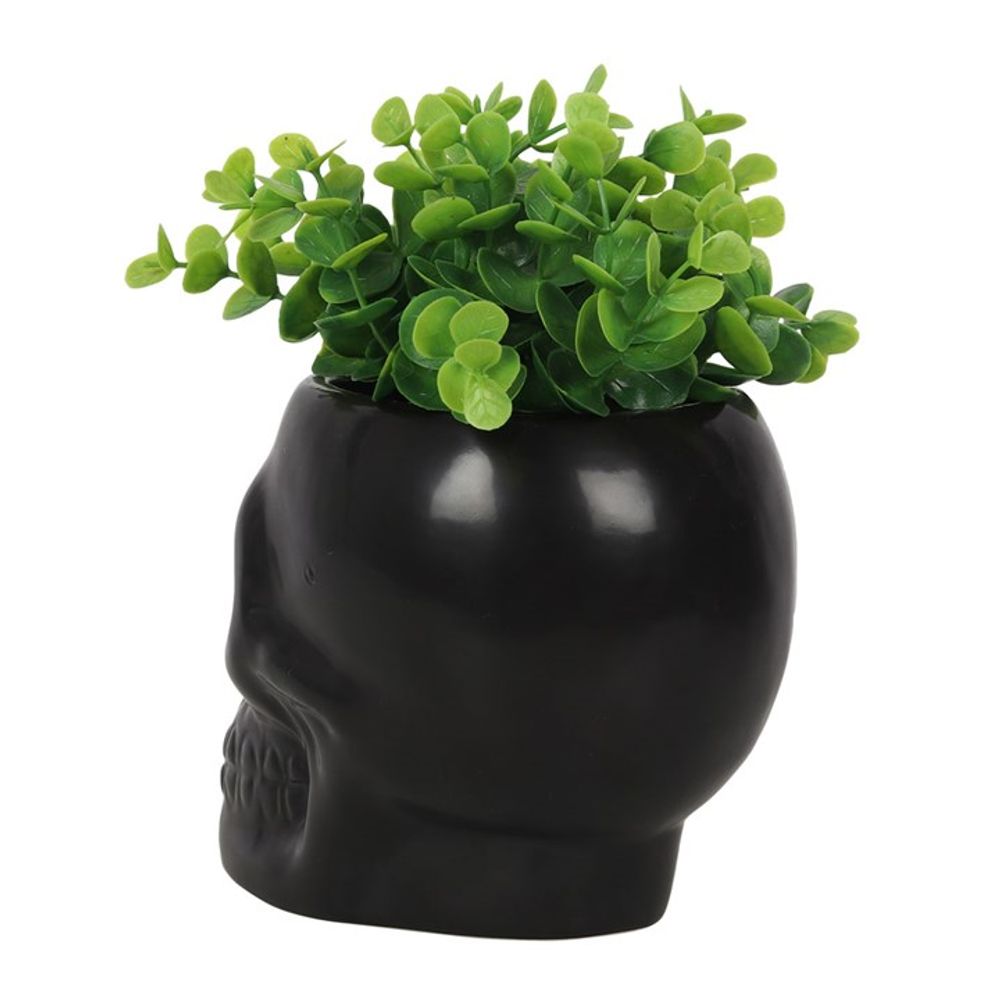 Black Skull Plant Pot