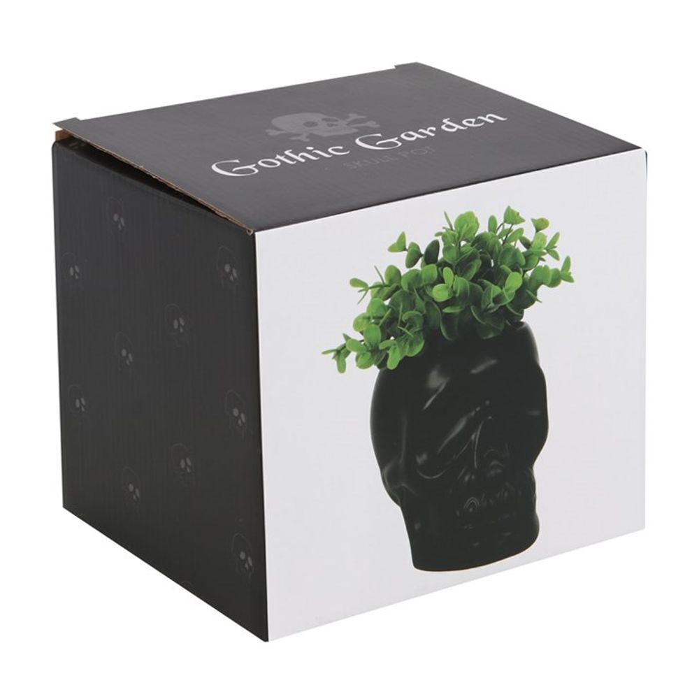 Black Skull Plant Pot